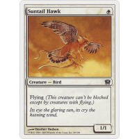 SuntailHawk9EDa.png